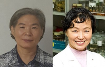과학기술정보통신부 제공